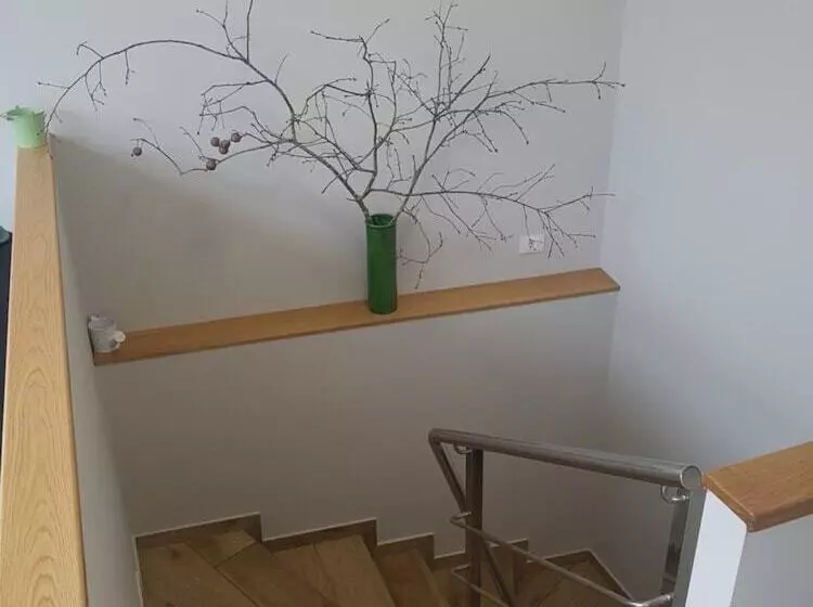 Albergue Buen Camino Tui