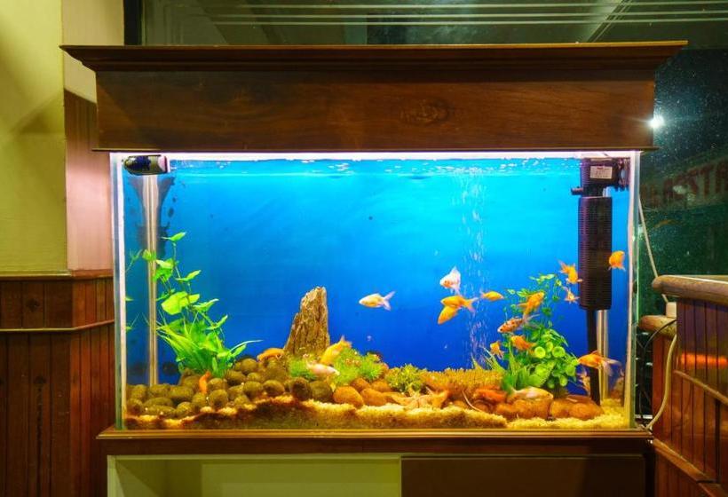 호텔 Surabhi Suites