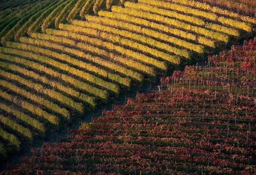 Majatalo Angolo Divino