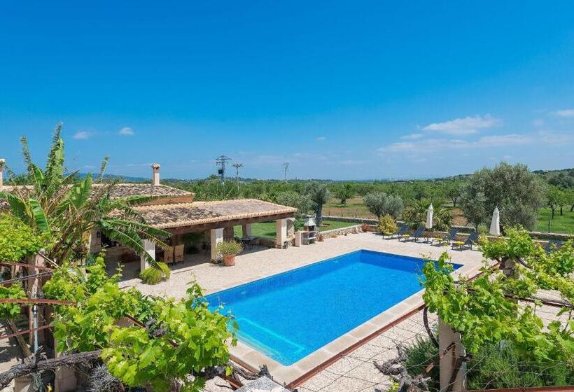 هتل Finca   Agroturisme Sa Parellada