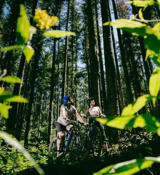 La Piazza Di San Donato