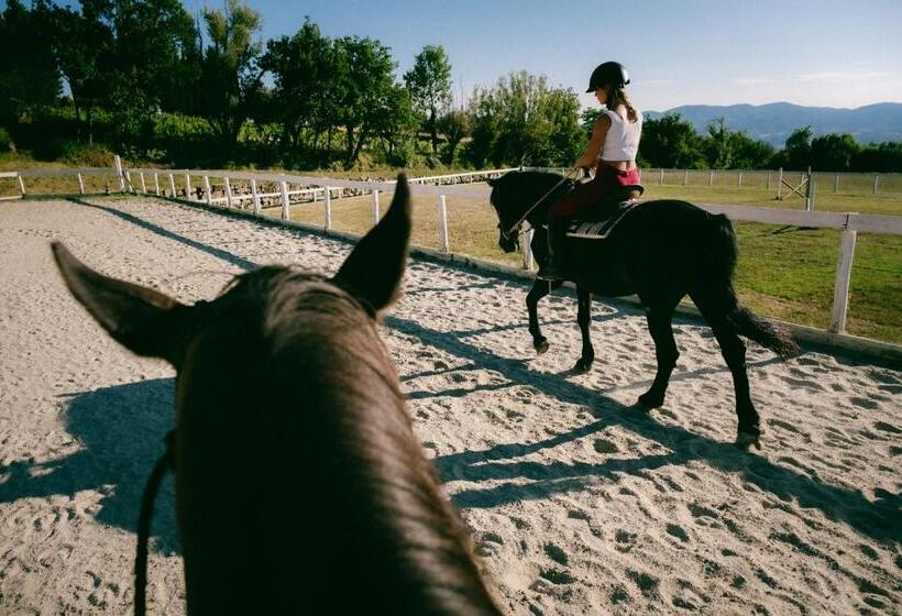 La Piazza Di San Donato