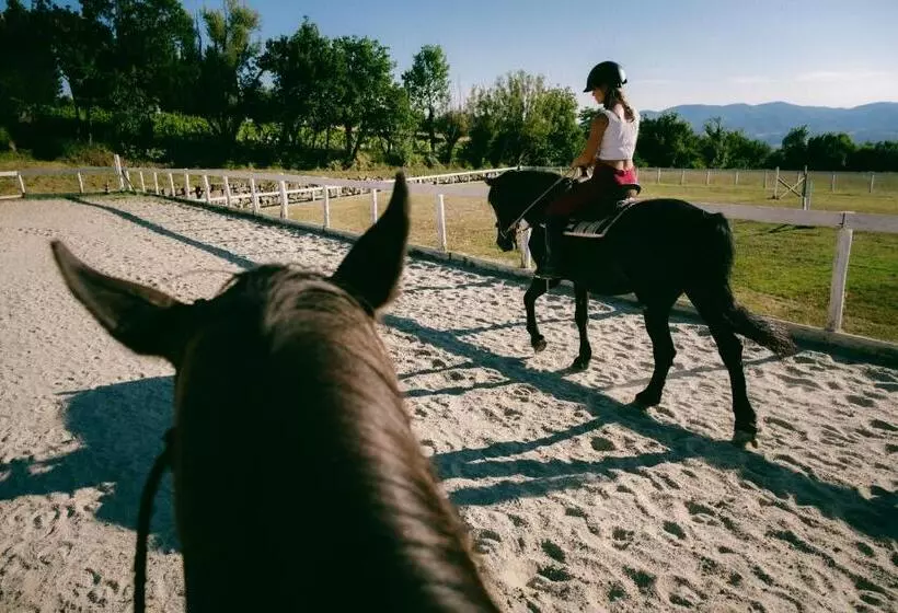 La Piazza Di San Donato