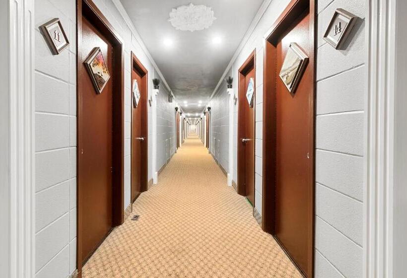 ユースホステル Auberge Pique Nique