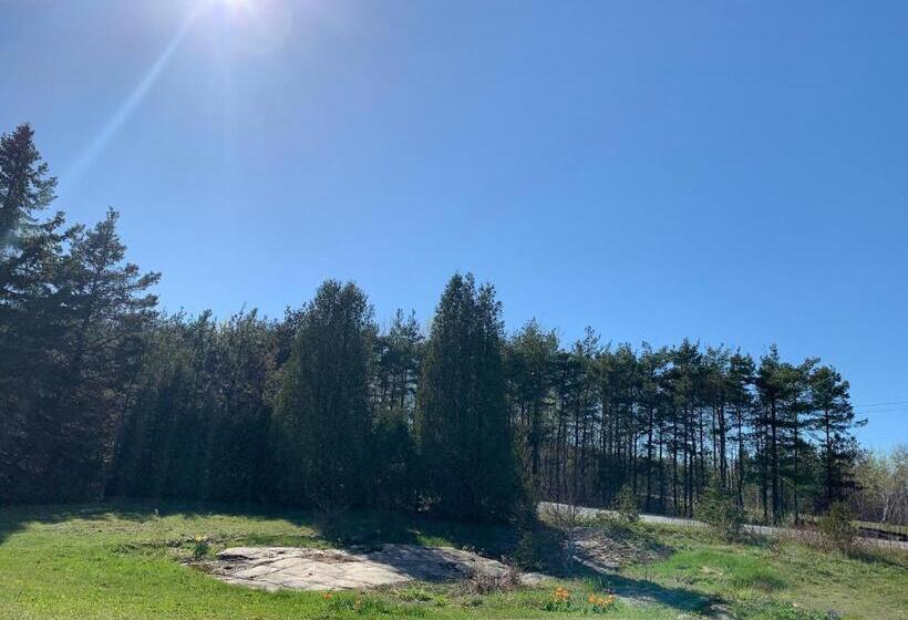 ユースホステル Auberge Pique Nique