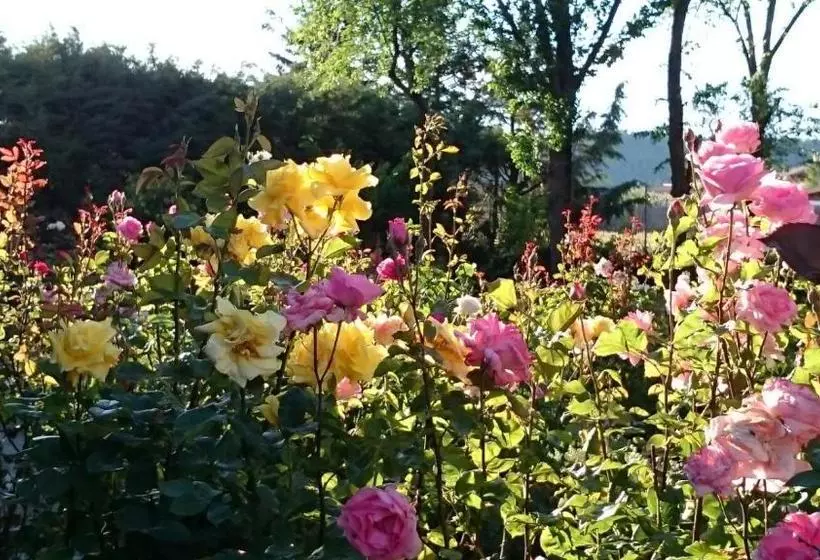 Majatalo La Casona De Tamaya