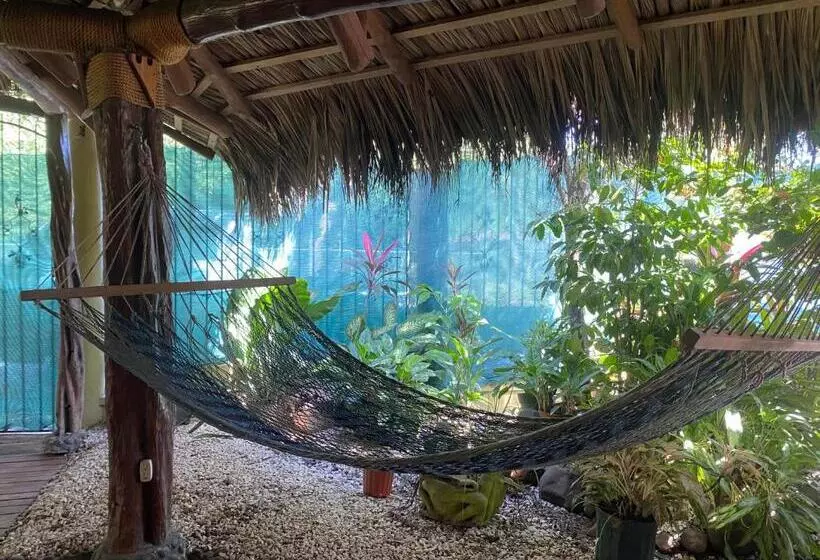 پانسیون Mauras Tropical Mini Hostel & Tours