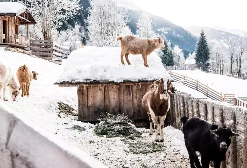 ホテル Peakini Farmhaus