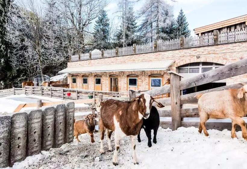 ホテル Peakini Farmhaus