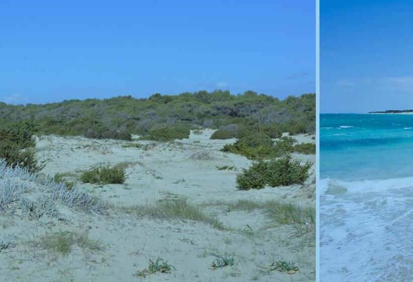 مبيت وإفطار Blue And Blue City