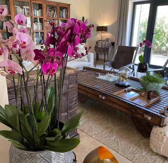 ペンション Le Mas Saint Philippe