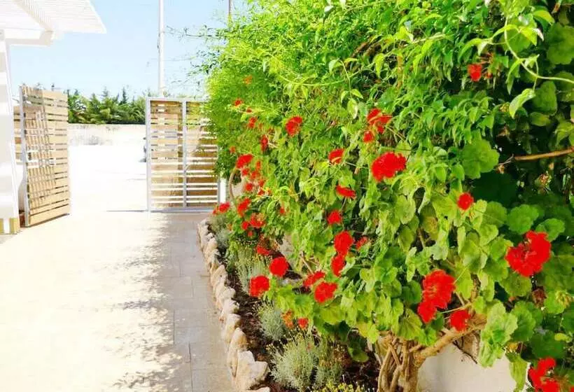 Majatalo Punta Prosciutto Bed