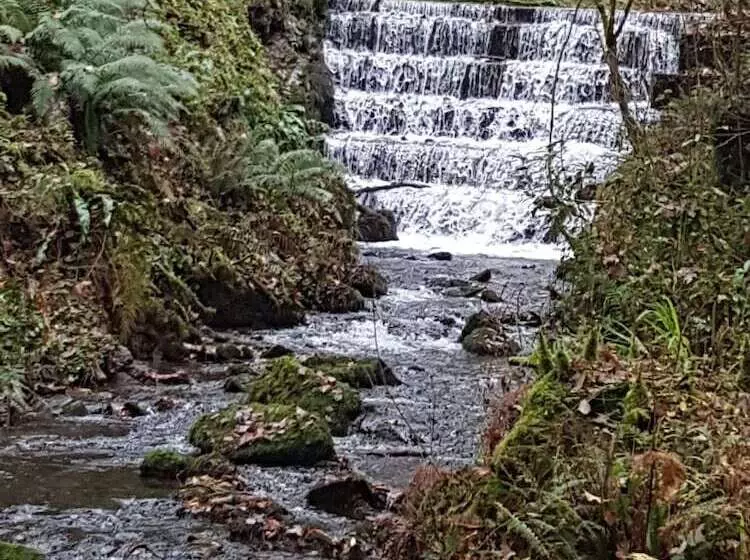 Whortleberry Studio B & B