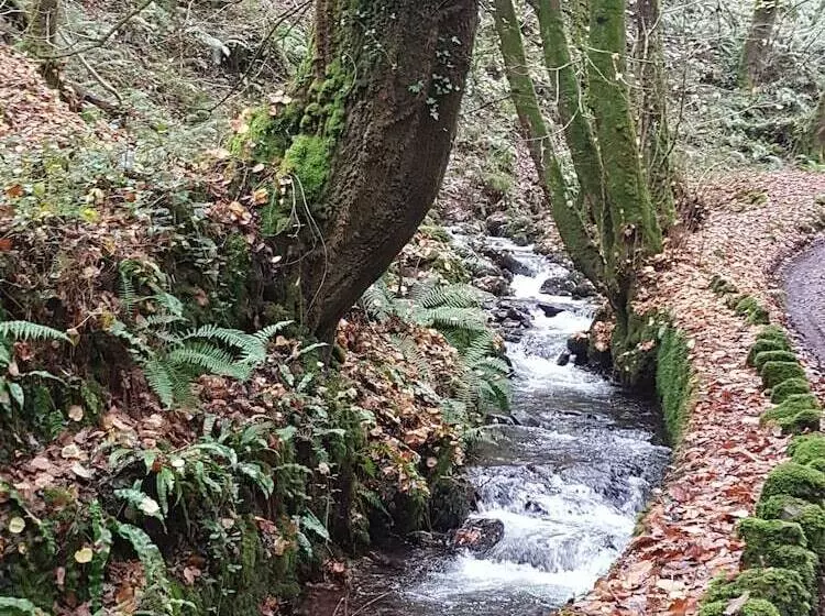 Whortleberry Studio B & B