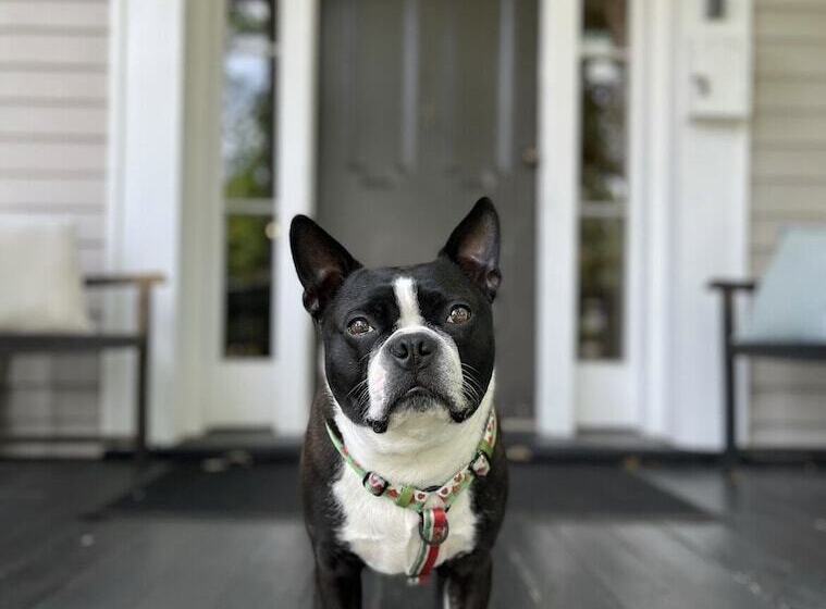 Schronisko Mccully House Inn