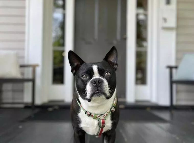 Retkeilymaja Mccully House Inn