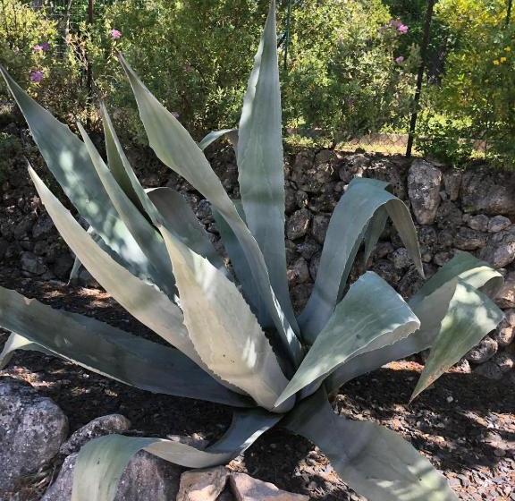 Bed and Breakfast Les Bergeries