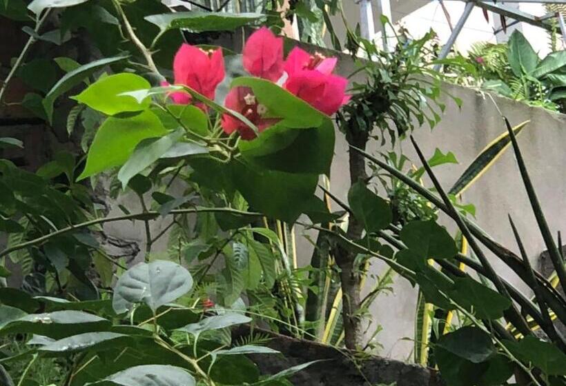 ペンション Pousada Barreirinhas