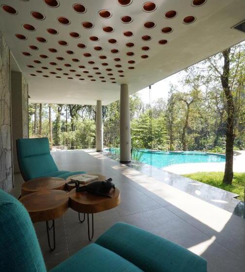 渡假胜地 The Birchwood Retreat, Madikeri