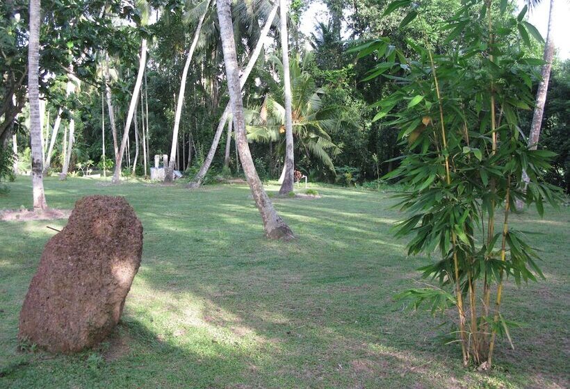 بنسيون Anuhas Airport Villas