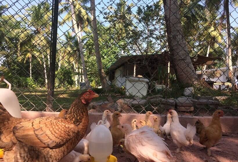 بنسيون Anuhas Airport Villas