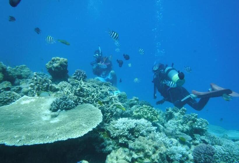 פנסיון Okinawa Hostel Yanbaru Fukuro