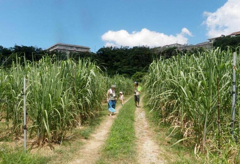 פנסיון Okinawa Hostel Yanbaru Fukuro