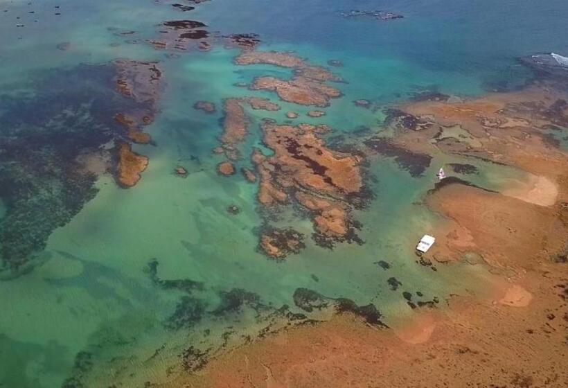 بنسيون Pousada E Restaurante Sombra Dos Coqueiros