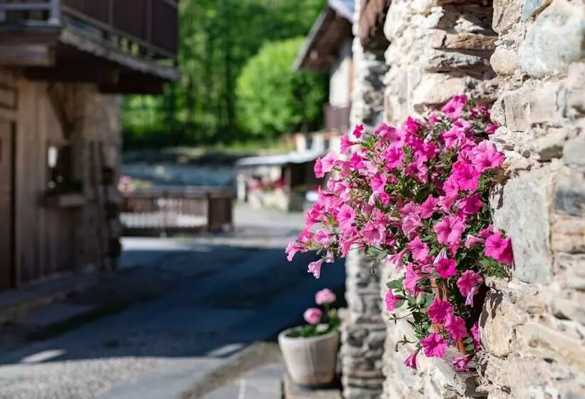 Il Sogno Della Vita Agriresort   Country Rooms & Suites