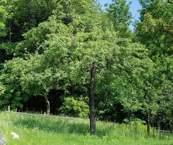 Il Sogno Della Vita Agriresort Country Rooms & Suites