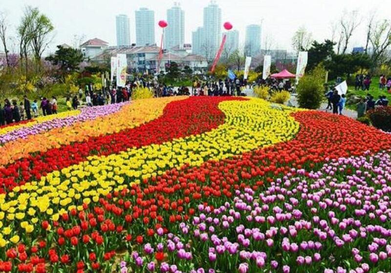 בית מלון כפרי Greentree Inn Rizhao Donggang Area Haina Shopping Mall Shell