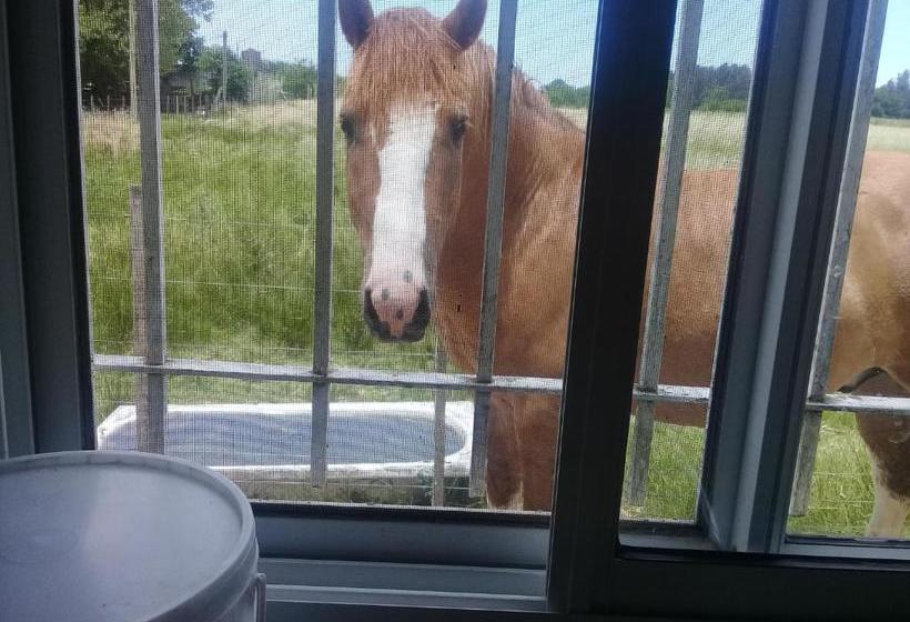 بنسيون La María