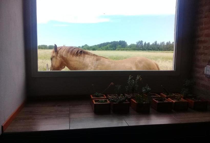 بنسيون La María