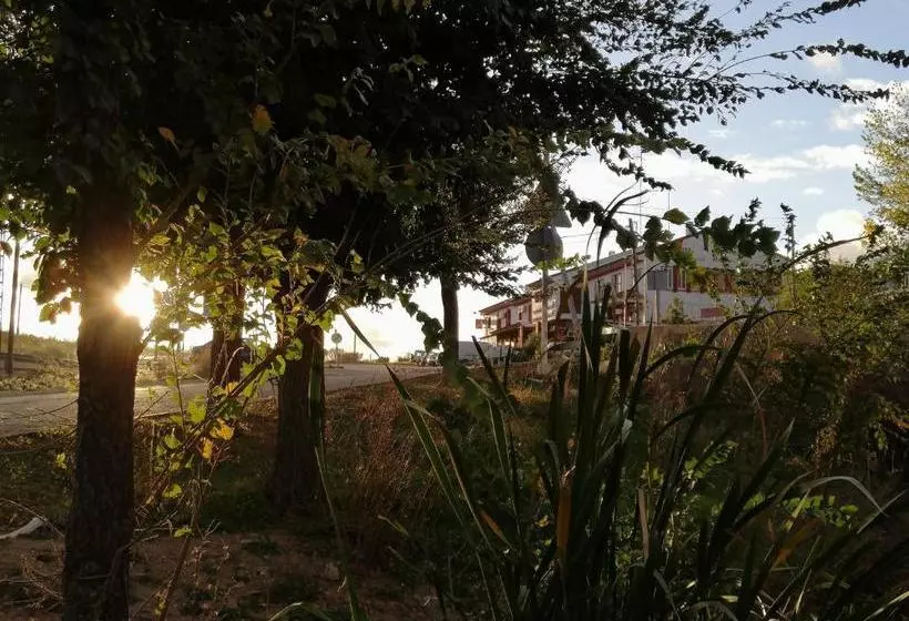 ペンション Hostal Miguel Hernandez