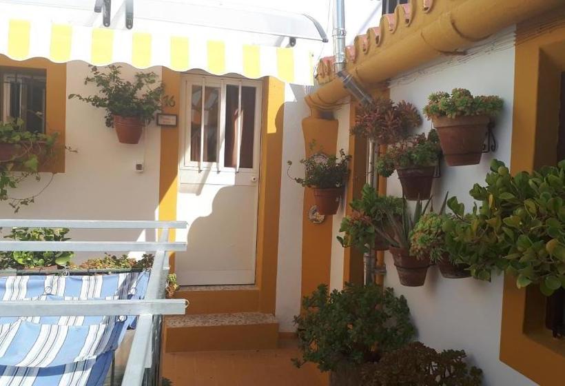 פנסיון Hostal Manolo