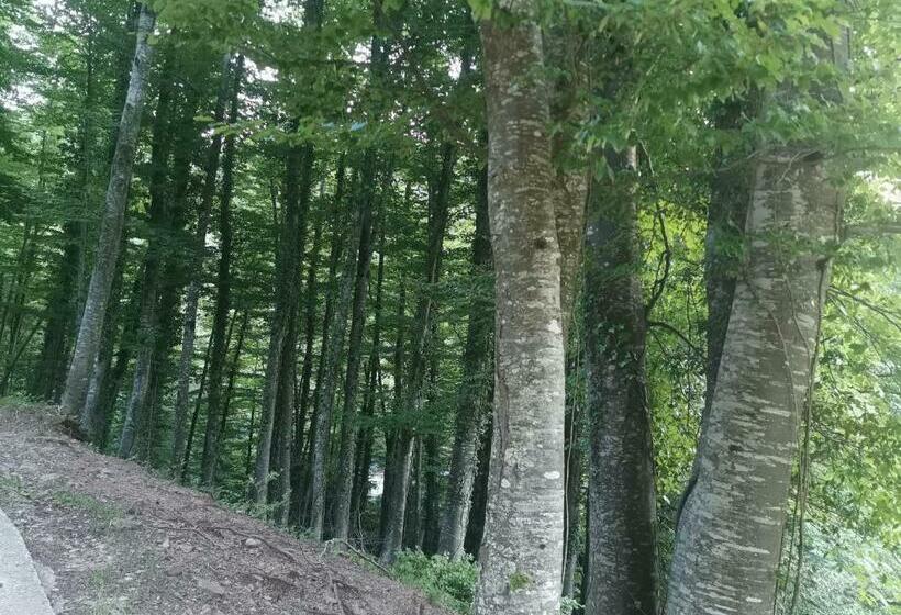 酒店 Allotjaments Rurals Can Punti