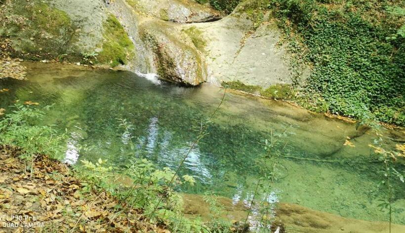 酒店 Allotjaments Rurals Can Punti