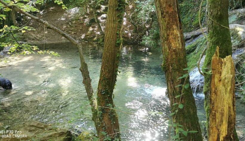 酒店 Allotjaments Rurals Can Punti