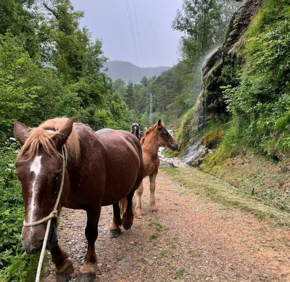 酒店 Allotjaments Rurals Can Punti