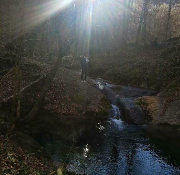 酒店 Allotjaments Rurals Can Punti