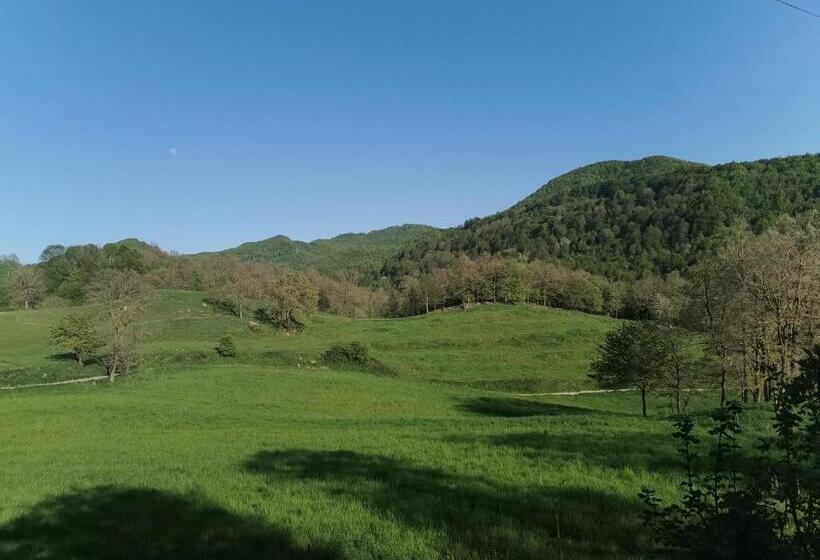 酒店 Allotjaments Rurals Can Punti