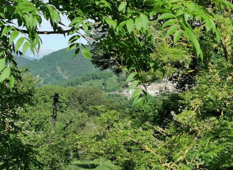 酒店 Allotjaments Rurals Can Punti