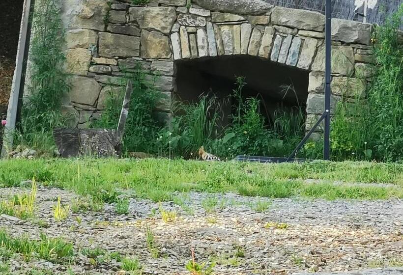 酒店 Allotjaments Rurals Can Punti