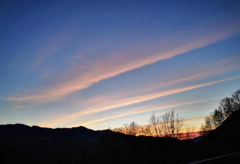 酒店 Allotjaments Rurals Can Punti