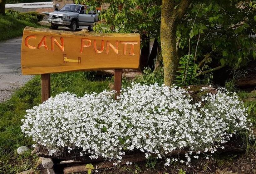 酒店 Allotjaments Rurals Can Punti