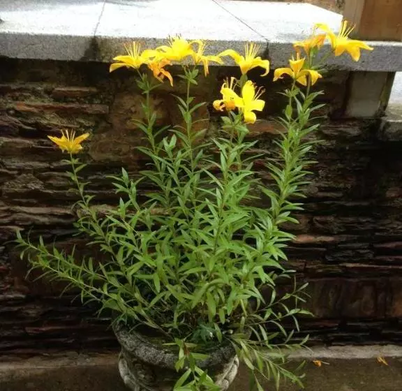 Pension Ostau Dera Nheu