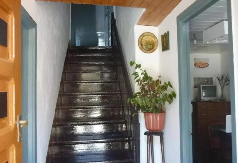 Pensión Santa Rosa