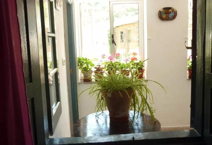 Pensión Santa Rosa