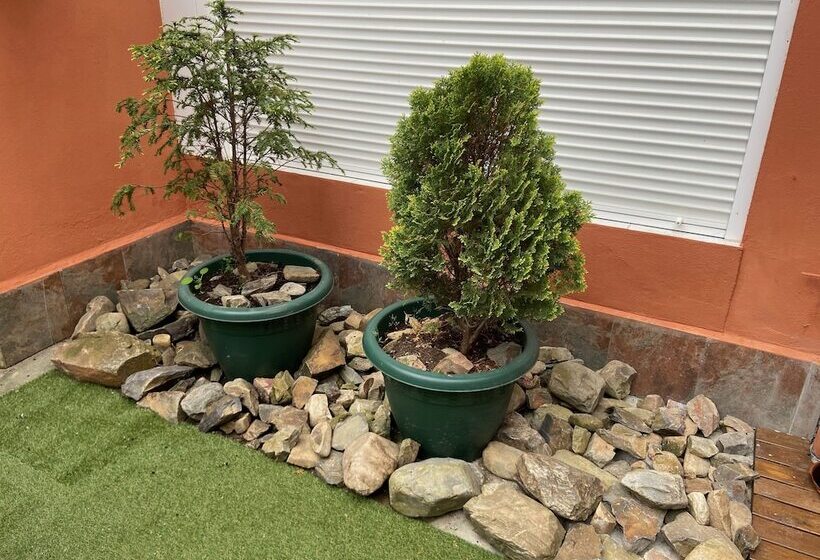 پانسیون Hostal Casa San Nicolas