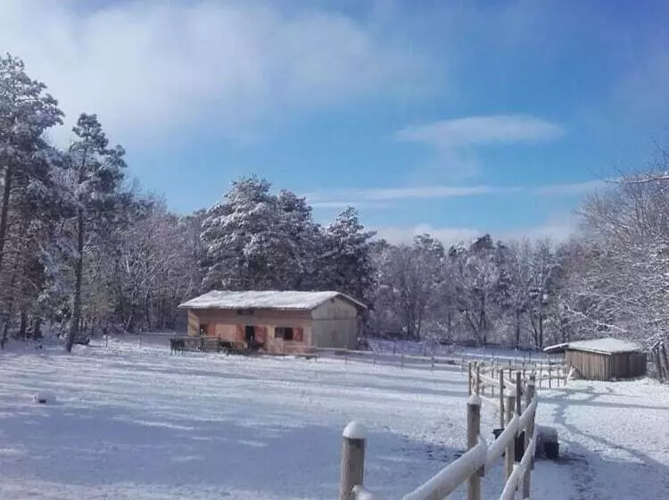 ホテル Eco Urbion